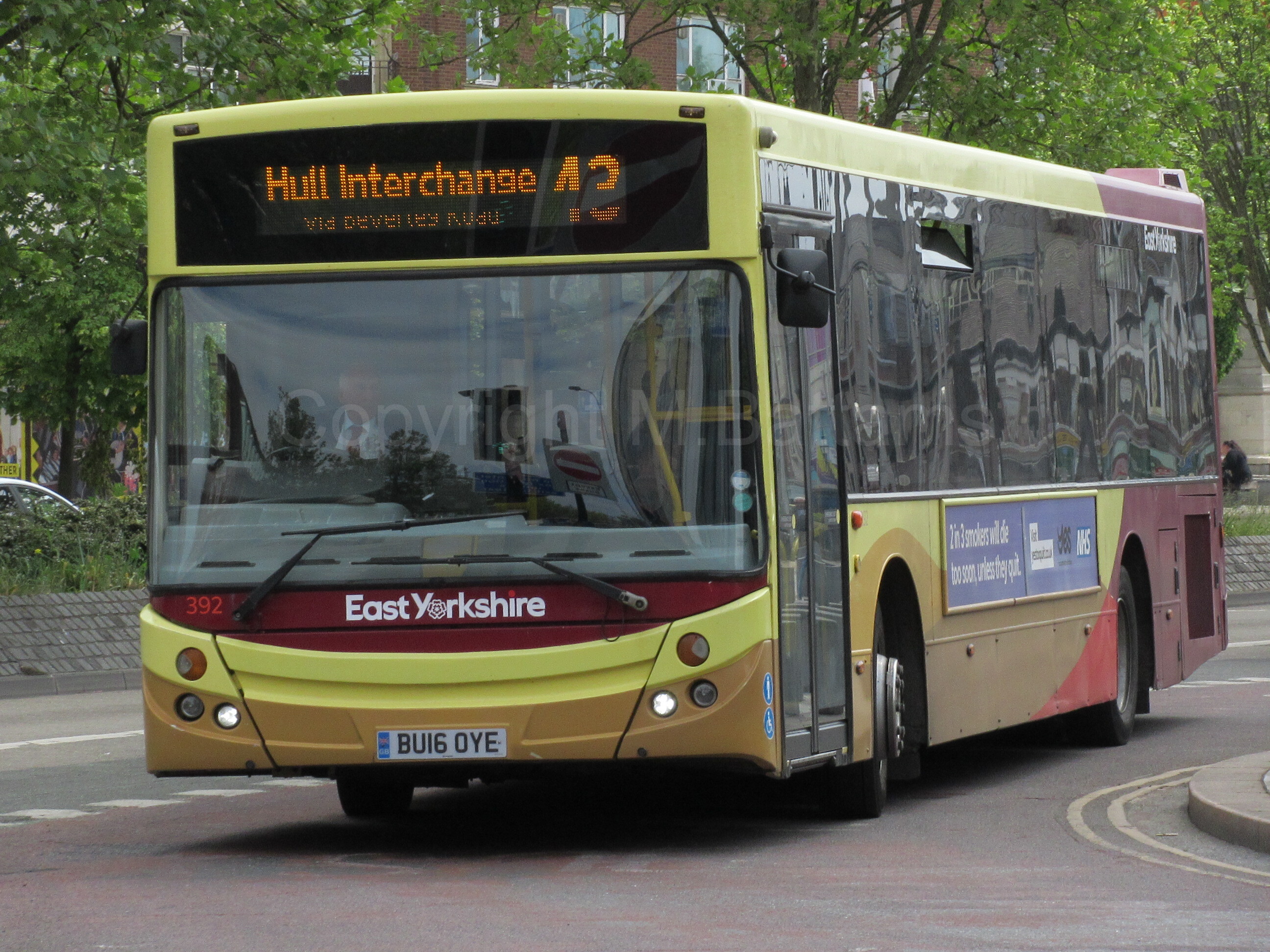 Bus photo 1