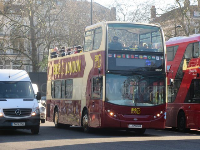 Bus photo 1
