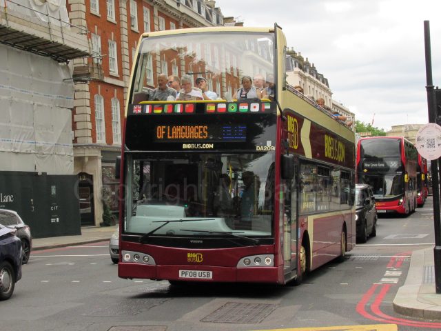 Bus photo 1