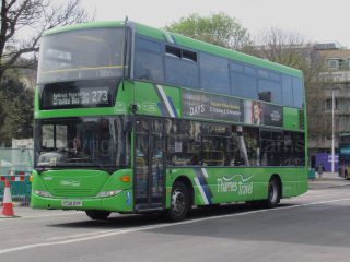 YT59 DYP