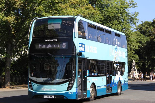Bus photo 1